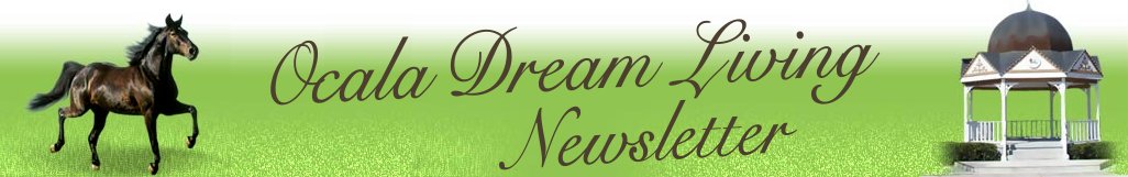 Ocala Dream Living Newsletter